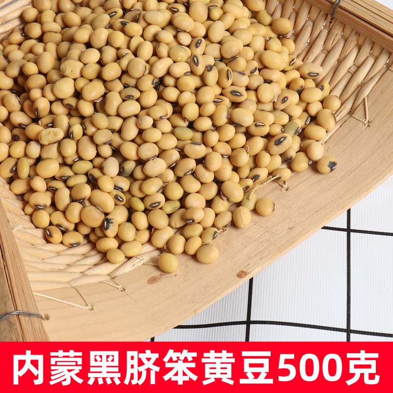 黑脐黄豆传统老品种黄豆生黄豆芽农家种植椭圆500克非转基因