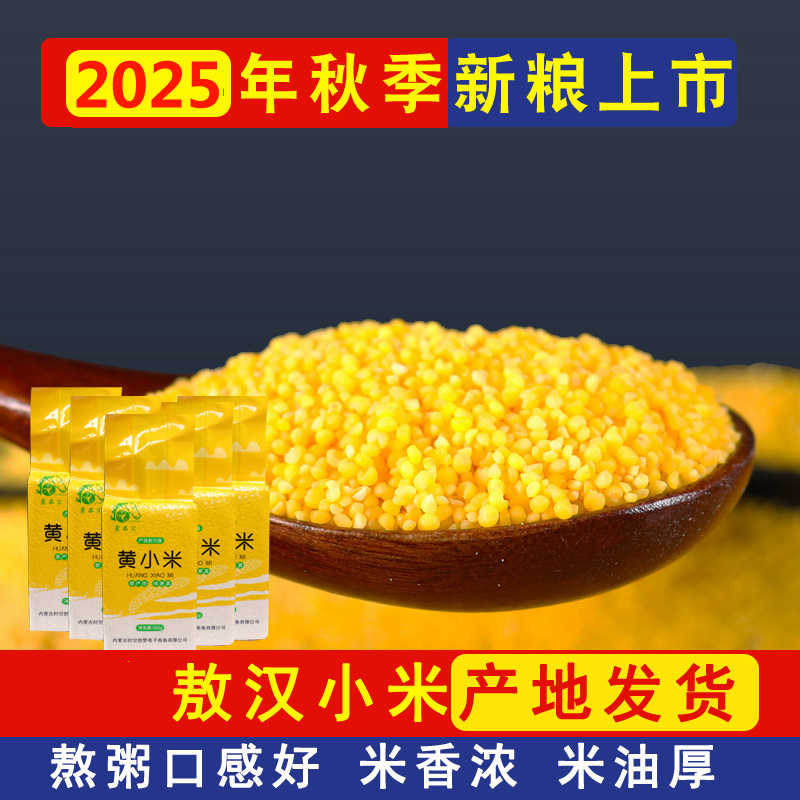 敖汉小米25年新米小黄米500g内蒙古赤峰食用杂粮大金苗k1蒙品汇