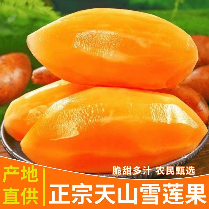 【真好吃】云南雪莲果水果正宗黄心长圆果当季新鲜水果一整箱批发,水产肉类/新鲜蔬果/熟食,雪莲果,淘宝优惠券,粉丝福利购,淘宝优惠卷