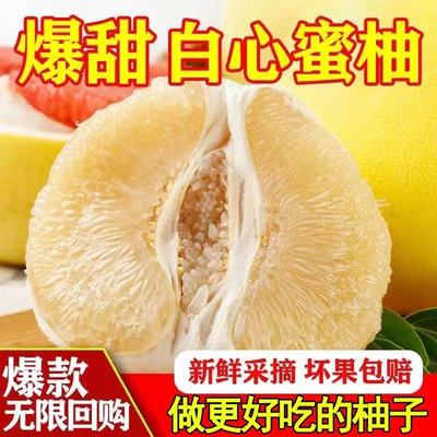 正宗琯溪白柚果园现摘白心