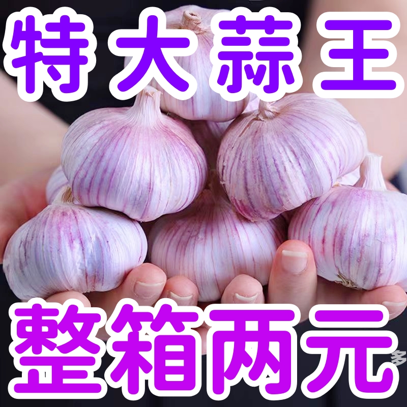 【优享价】正宗干蒜金乡紫白皮大蒜头批发红皮大蒜特大号蒜子包邮