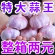 金乡紫皮大蒜批发价新鲜大蒜特大蒜头干蒜大蒜葱头正宗 巨实惠