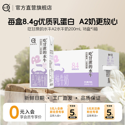 认养吃甘蔗的水牛奶A2水牛奶