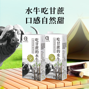 【大客户专享】认养吃甘蔗水牛奶奶茶咖啡店通用全脂常温牛奶家用