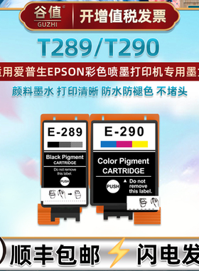 T289黑色墨盒T290磨盒适用EPSON爱普生WorkForce彩色WF100喷墨打印机C13T289180墨水盒WF110彩墨合C13T290080