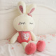 可爱毛绒玩具兔love小兔子公仔大号抱枕玩偶布娃娃生日礼物女 正品
