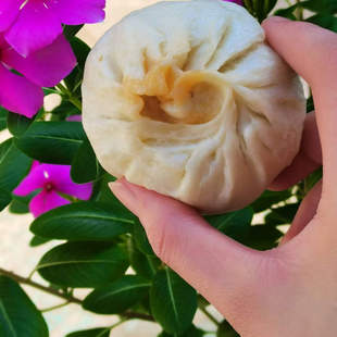 钱余昌老面萝卜丝大包8个 620g手工速食早餐半成品速冻包子