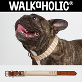 WALKaHOLIC宠物项圈狗狗脖套颈圈加厚中小型犬真皮进口编织可调节