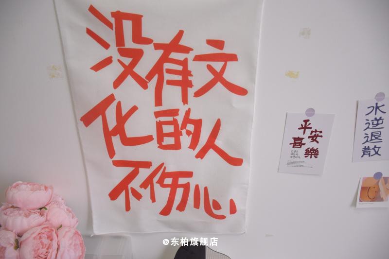 没文化的人不伤心书房装饰挂布高级感氛围感墙面口号米白色绒布