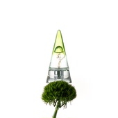 春风十里苔痕上阶绿木质香水持久淡香小众高级生日礼物送女友