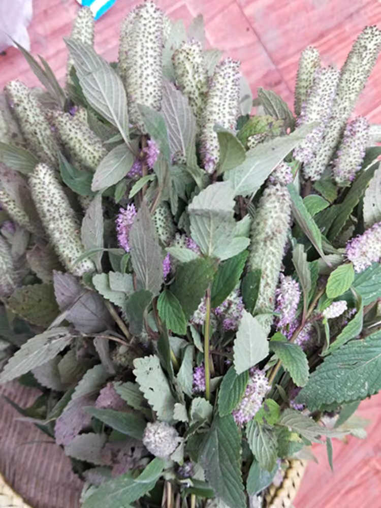 云南食用新晒木姜花包邮酸汤饭香料豆花蘸水凉拌菜调料草药藿香