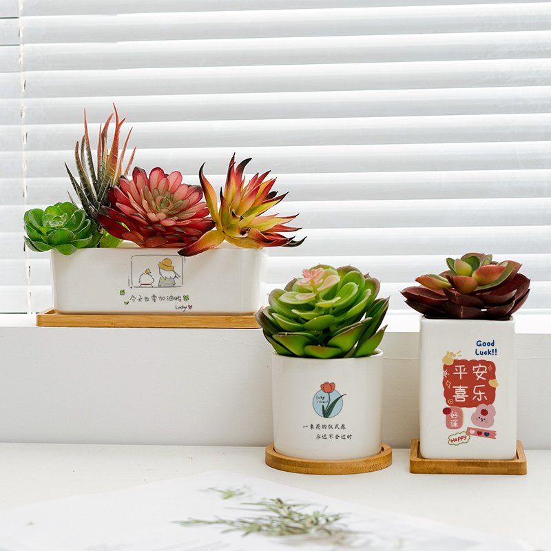 创意图案多肉植物现代简约圆柱正方形白色白瓷特价陶瓷花盆竹托盘
