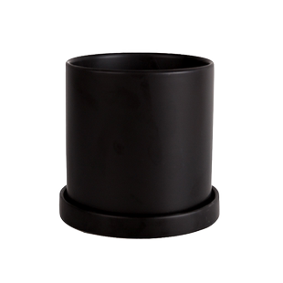 室内轻奢家用可爱创意多肉绿植盆栽蝴蝶兰陶瓷花盆营养土带托盘