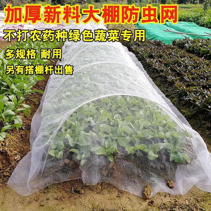 种菜防虫网种菜 农用防虫网农用蔬菜防虫网大棚地种菜专用网 纱网