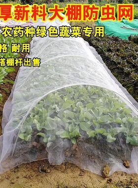 种菜防虫网种菜农用防虫网农用
