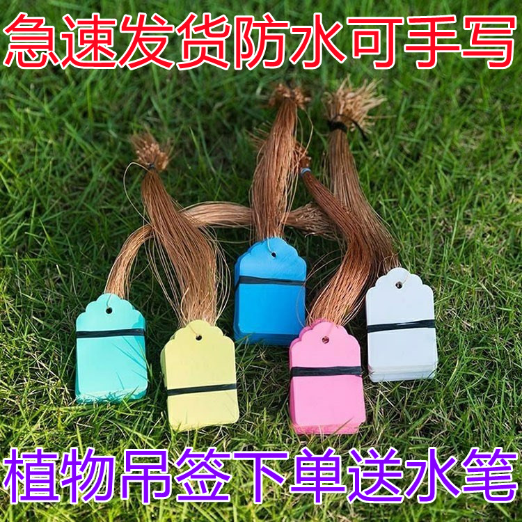 绿植塑料果树植物标签牌吊牌种子防水价签防晒标记牌吊签园艺实验