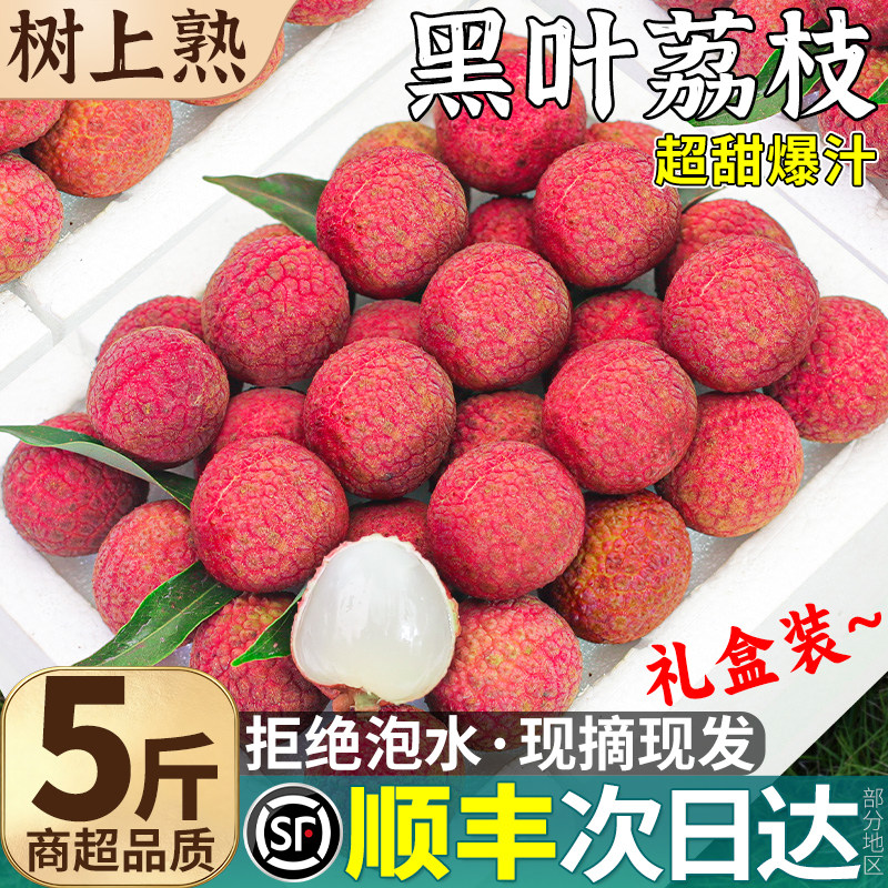 福建黑叶荔枝6斤老树果王礼盒