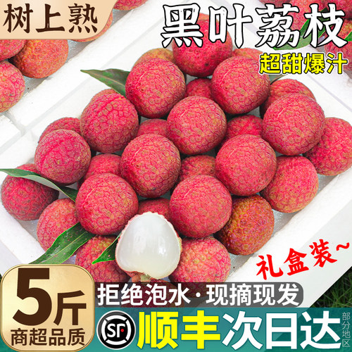 福建黑叶荔枝5斤老树果王礼盒