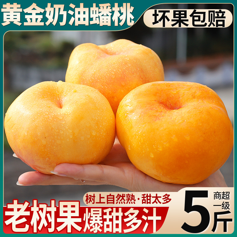 5A精品丨5斤黄金油蟠桃丨超甜！