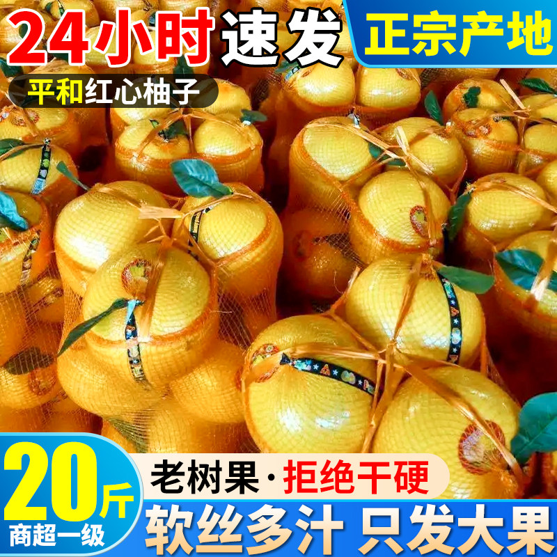 顺丰20斤柚子平和红心柚红肉蜜柚礼盒当季新鲜文旦水果整箱包邮甜
