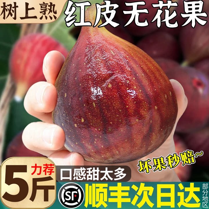 顺丰现货 红皮无花果鲜果当季现摘5斤大果树熟糖包子新鲜孕妇水果