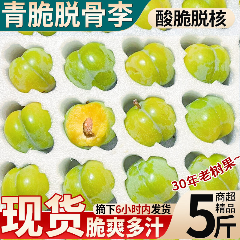现货 5斤脱骨李青脆李子新鲜水果特大蜂糖李当季现摘孕妇整箱包邮