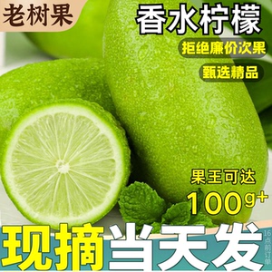 顺丰当天发|无籽香水柠檬