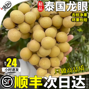 顺丰5斤泰国龙眼新鲜水果老树大果桂圆现摘去枝应季时令整箱包邮3