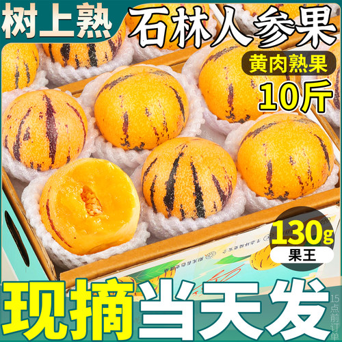 拒绝白果丨不甜包赔丨石林人参果
