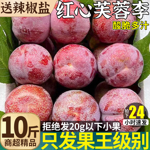 树上熟红心芙蓉李丨脆爽爆汁！