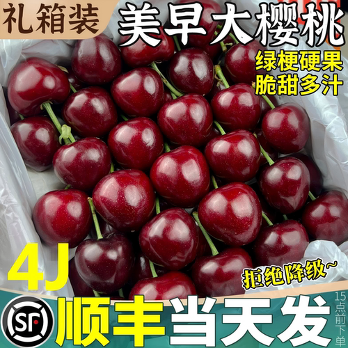 空运次日达||山东美早大樱桃