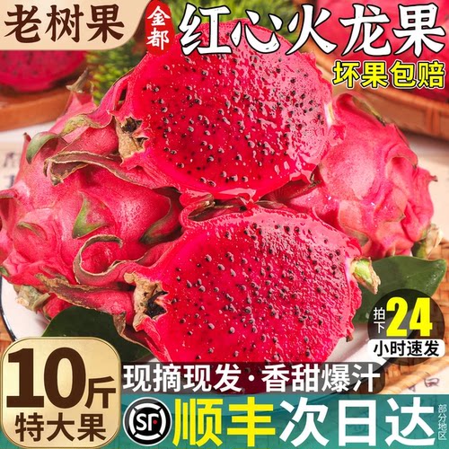 顺丰当天发丨红心火龙果甜！大！