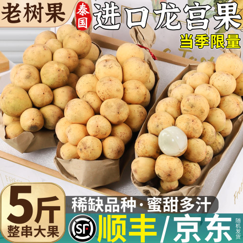 顺丰丨泰国进口龙宫果高端礼盒