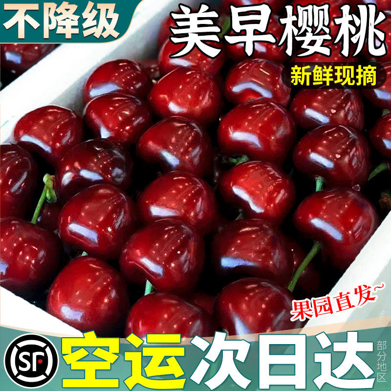 空运次日达丨5J不降级丨烟台直发