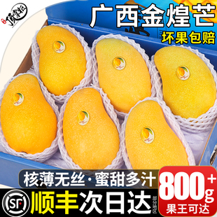 顺丰礼盒 广西金煌芒新鲜水果 特大果当季芒果现摘10斤整箱包邮甜
