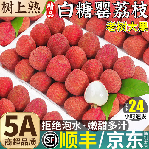 顺丰次日达|5斤大果白糖罂荔枝