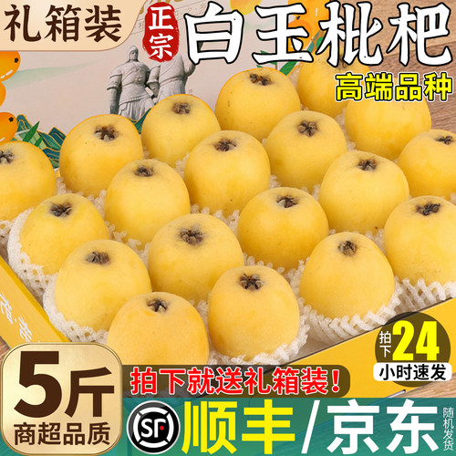 彩箱装 福建白玉枇杷鲜果5斤大果新鲜水果整箱包邮现摘非苏州东山