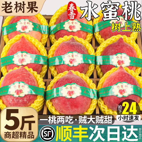 顺丰次日达丨春雪水蜜桃稀缺果王
