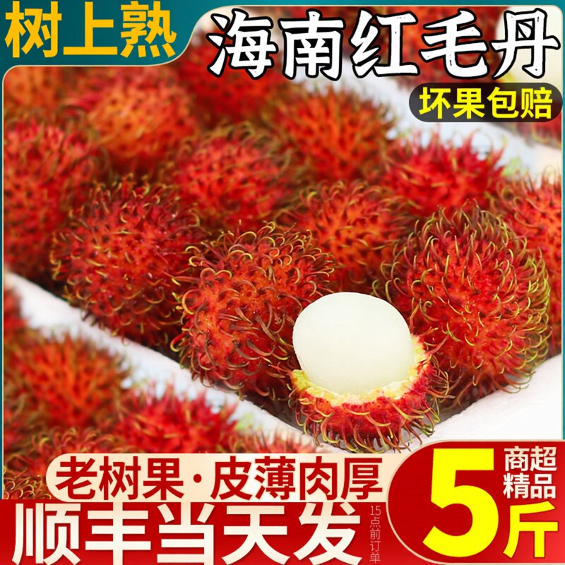 红毛丹孕妇水果5斤新鲜顺丰包邮
