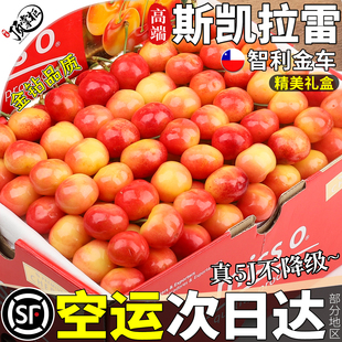 空运礼盒 5斤斯凯拉雷金车厘子新鲜水果智利进口黄樱桃5J整箱包邮