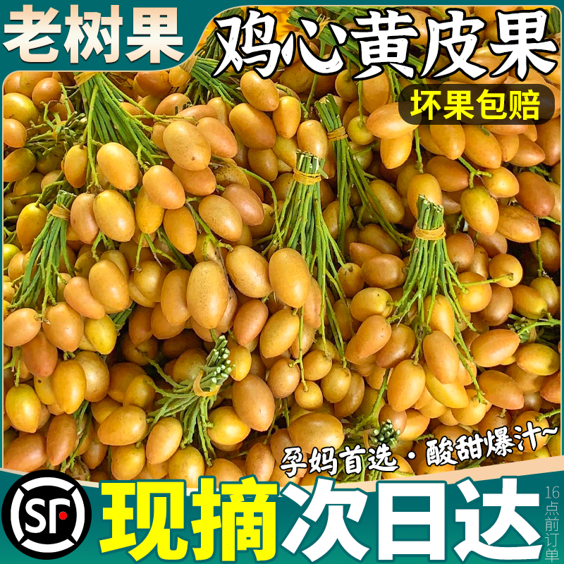 顺丰特大果 6斤广东鸡心黄皮果新鲜水果酸甜黄弹子孕妇当季整箱