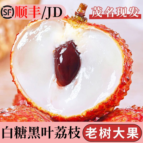 5斤礼盒丨白糖黑叶荔枝老树大果