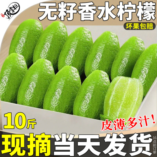 现摘当天发|广东无籽香水柠檬