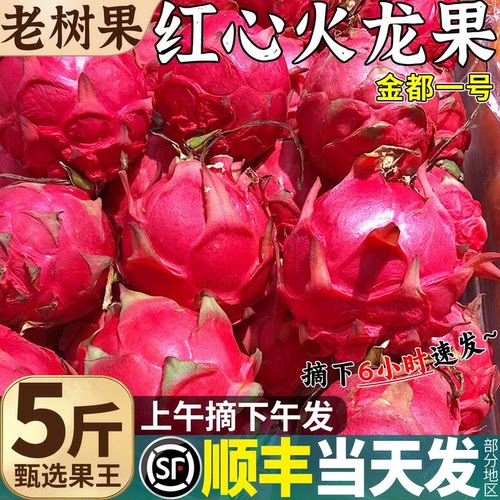 顺丰当天发丨红心火龙果甜！大！