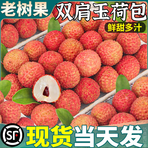 顺丰当天发丨26玉荷包现摘5斤