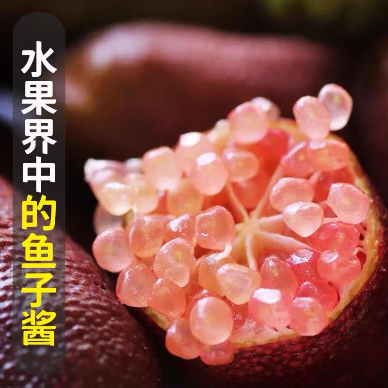 顺丰|彩虹手指柠檬鲜果高端摆盘