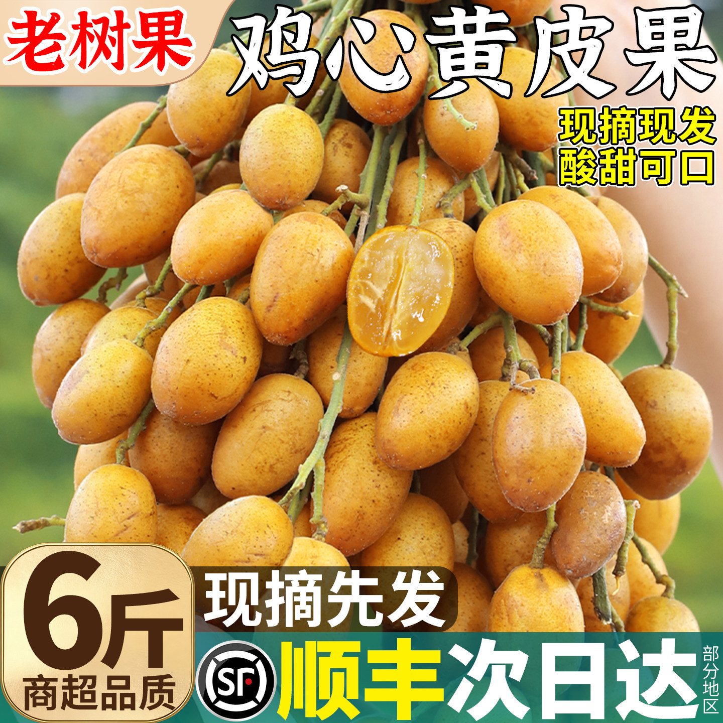 顺丰速达丨酸甜回甘丨老树黄皮果