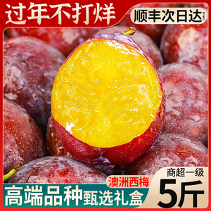顺丰礼盒装澳洲西梅果鲜果新鲜水果李子法兰西孕妇当季甜整箱包邮