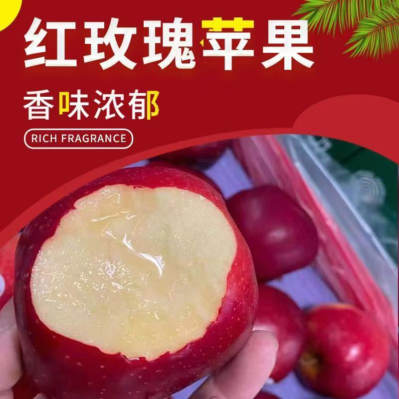 新西兰进口红玫瑰苹果果大脆甜