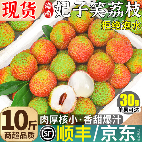 顺丰冷链妃子笑荔枝次日达现货